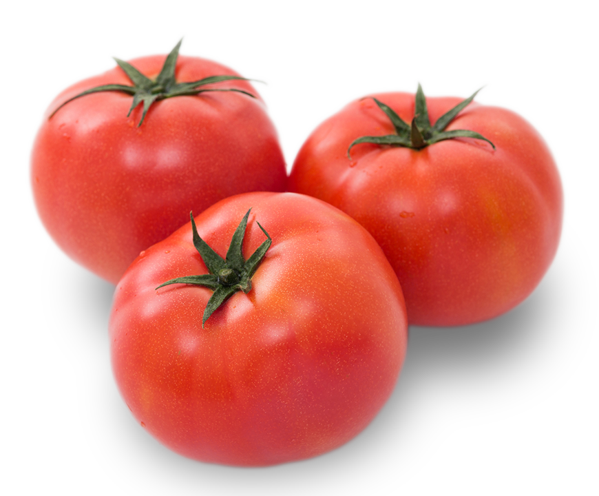 トマトの旬はいつ？トマトの選び方・食べ方もチェック！洋菓子恵那川上屋のスイーツコラム