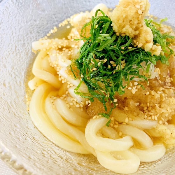 夏野菜のぶっかけうどん