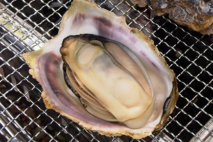 2025年最新版 BBQ食材おすすめランキングバーベキュー定番の肉・野菜・変わり種まで徹底解説 –ごち祭 ごちさい 肉串・イベント・パーティ用食材店