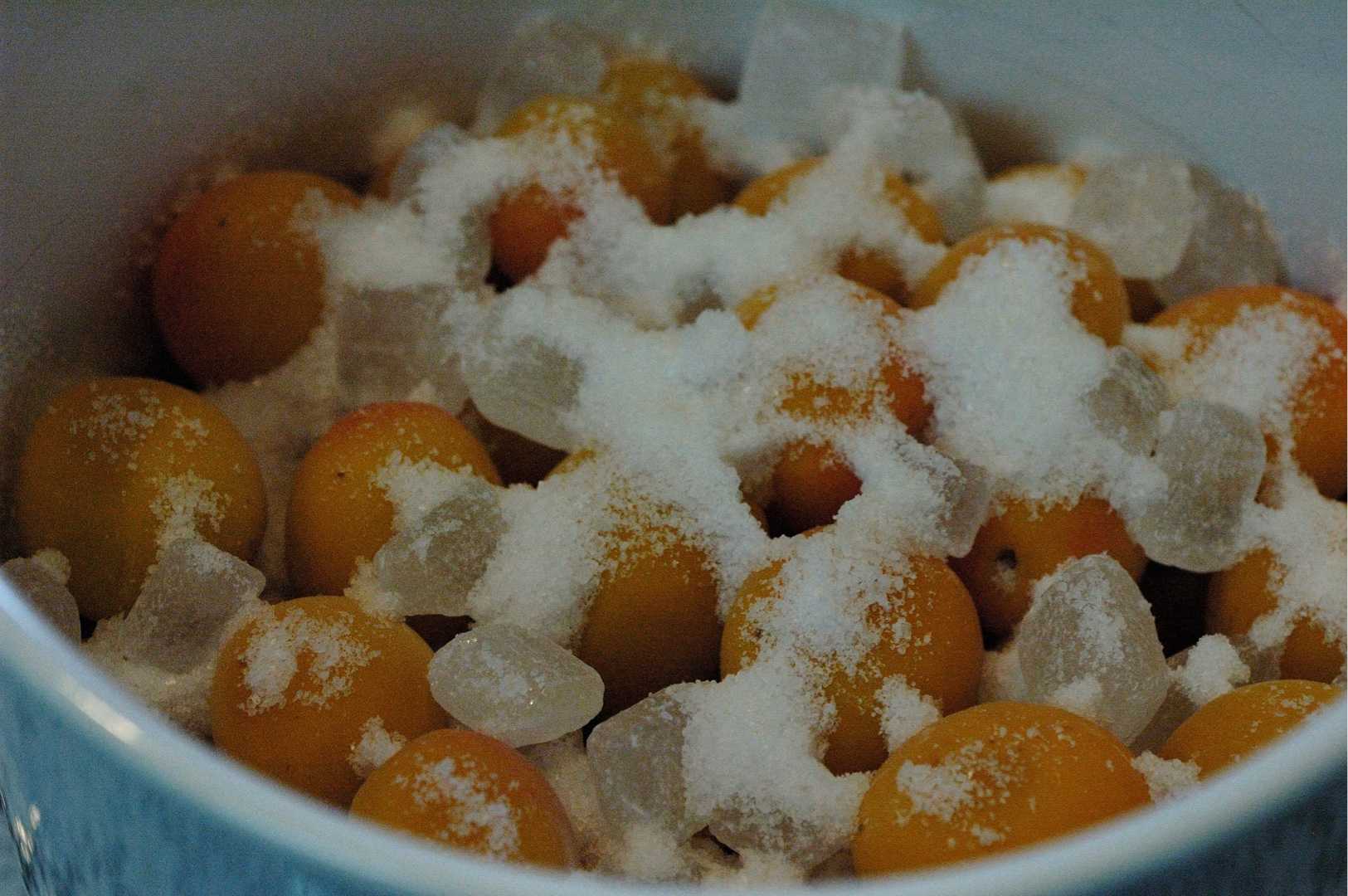 梅干しを作りましょうレシピ特集料理家 栗原はるみ レシピ・オンラインショップ 公式 ゆとりの空間