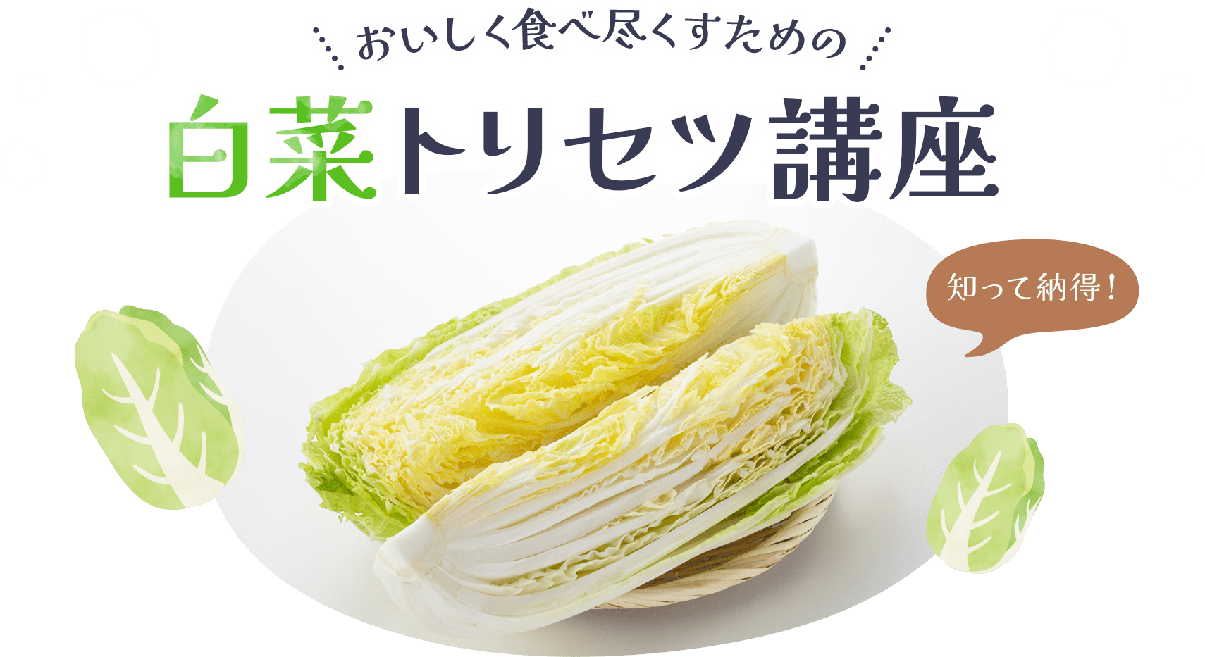 白菜ベーコン蒸し煮、うまい！極上ダシの競演！だが例年より劣る！なぜ？ マサ料理: 耽溺、マサ青木の美食とクルマ