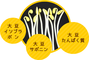 塩麹で豆もやしのナムル風