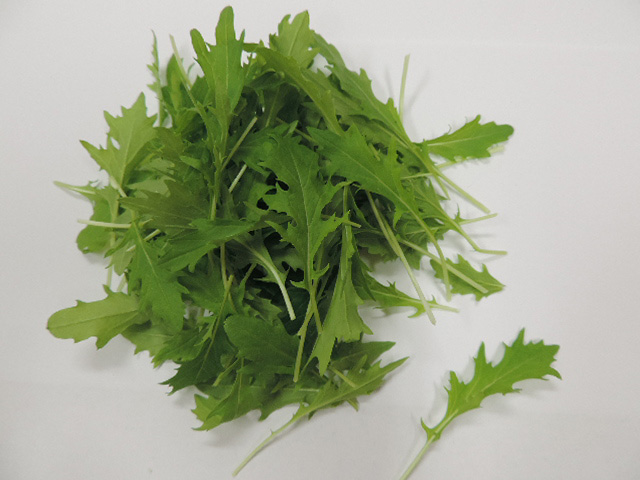 夏には夏の葉物を食べよう！☆ゆうき八百屋のうっし～青果ブログ☆彡