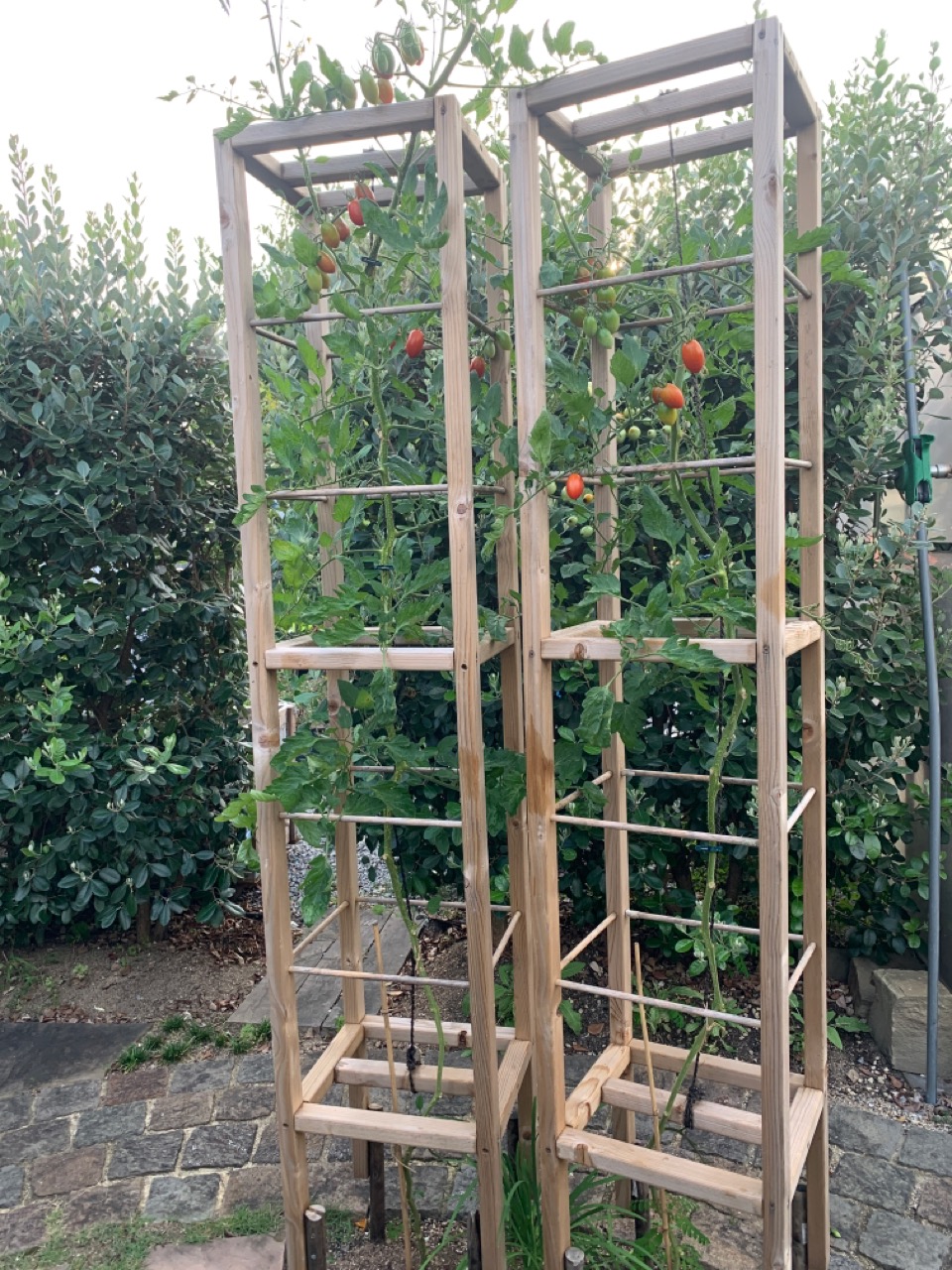 ココスティック モンステラ支柱 観葉植物 支柱 園芸支柱 植物 ガーデニング用 花ささえ ココナッツ支柱 植物サポート つる性植物 トマト ポトス農業用 園芸用 園芸支柱パーツ 高さ調整可能 おしゃれ 30cm 40cm 50cm 天然 ココナッツ 花卉園芸・花づくり