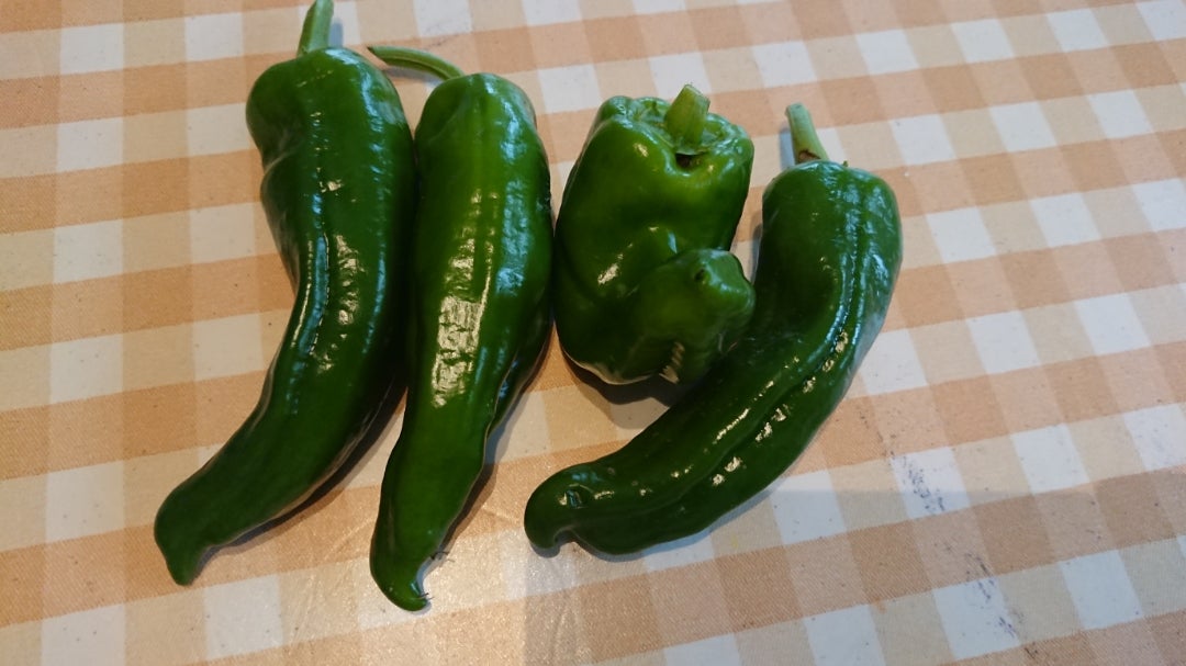 ピーマン ししとう 万願寺とうがらしの甘辛煮レシピ・作り方まめな料理帖