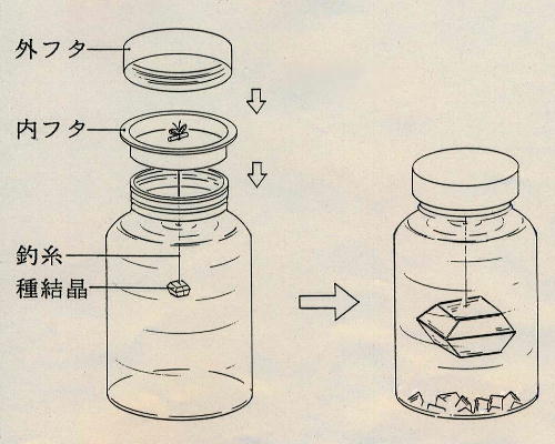 自由研究 塩だけじゃない！おうちでできる結晶作り５選自由研究Lab. ラボ