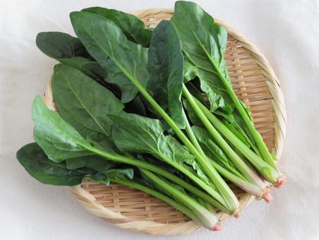 ほうれん草 200g 冷蔵便 発送期間11月～4月パック売り野菜地球畑 公式 オンラインショップ