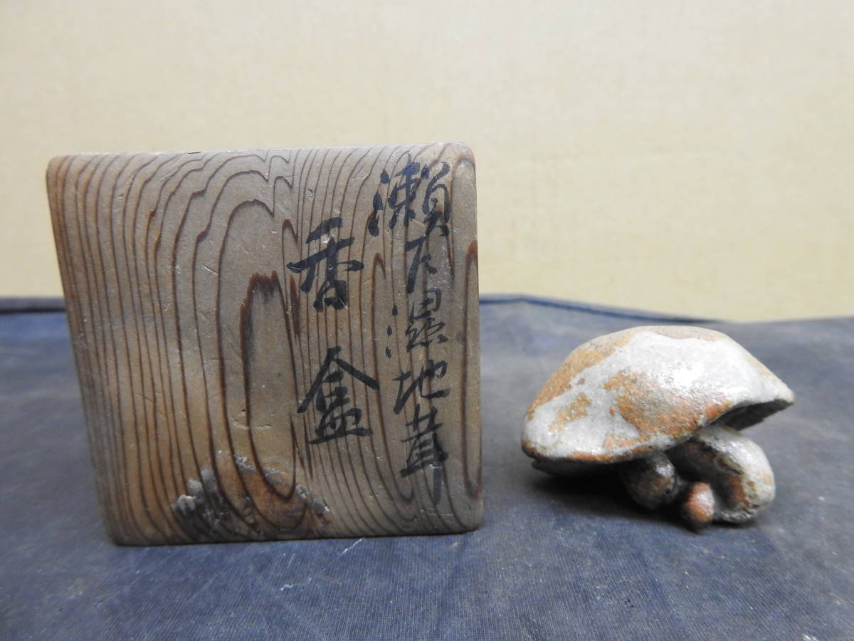 シメジ 湿地 とれたて大百科食や農を学ぶJAグループ