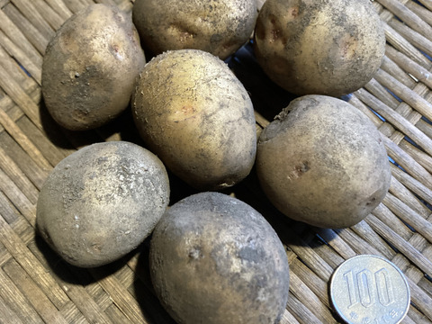 ほくほくで甘みたっぷり！皮ごといただく新じゃがレシピレシピサイトNadia