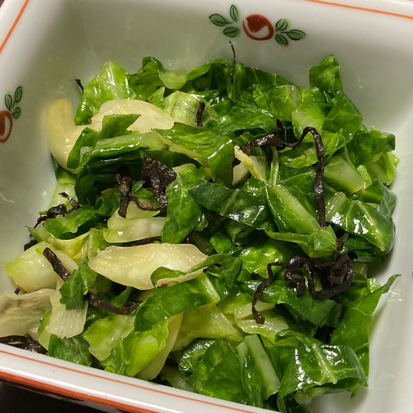 まるごとキャベツの目からウロコな切り方 千切りがラク！白くて固い芯を簡単に分けられる！便利な冷凍&冷蔵ストック作り。ゆるっとぴたっと