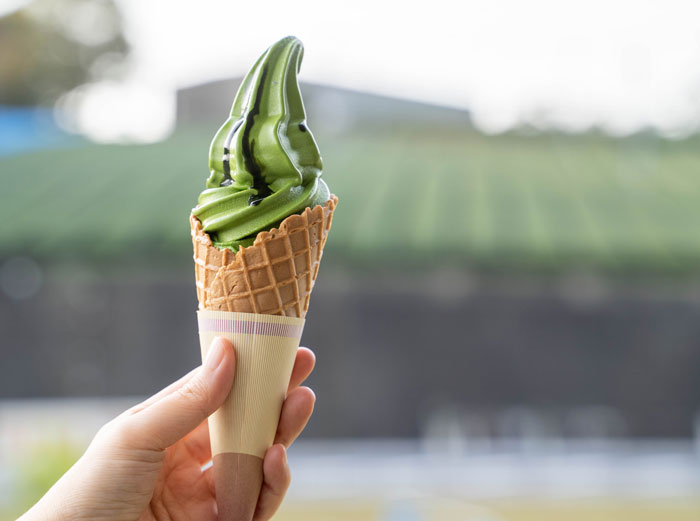 わらびもちソフト 桜抹茶』 やさしく桜が香るソフトクリームと濃厚な抹茶ソフトクリームのミックス。 桜わらび餅と抹茶わらびもちをトッピングした、春限定メニュー。ご来店お待ちしております。 京都本店 @buncha_honten 名古屋店 @buncha_nagoya メイン @buncha_kyoto