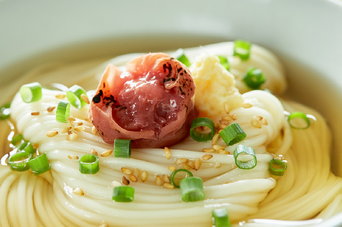 疲れた胃をリセット！胃に優しい～しょうがでポカポカ梅たまあんかけうどん！ : あいのおうちごはん Powered by ライブドアブログ