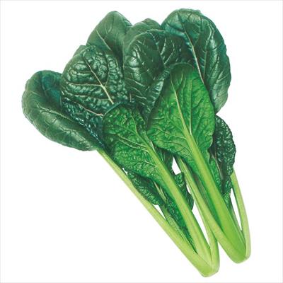 ささ身と葉野菜のフレッシュナムル