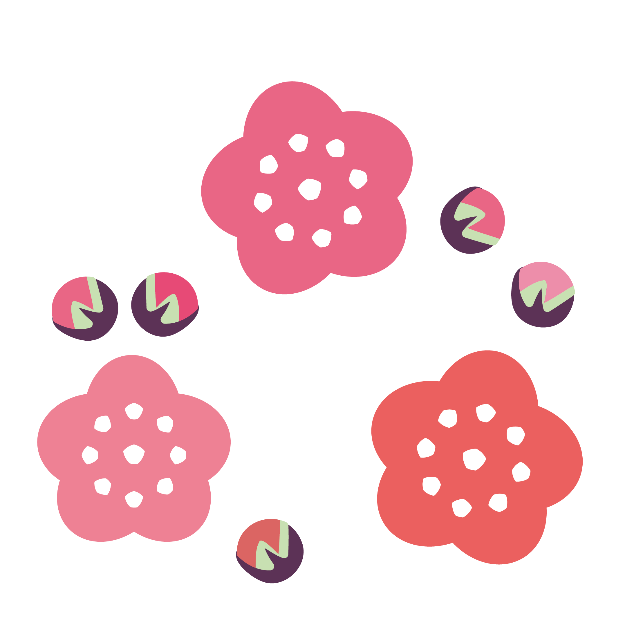 梅干しその３：イラスト無料