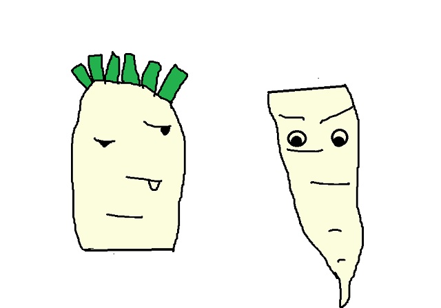 甘いのはどこ？大根の「部位別」特徴を野菜博士・緒方湊くんが解説クックパッドニュース
