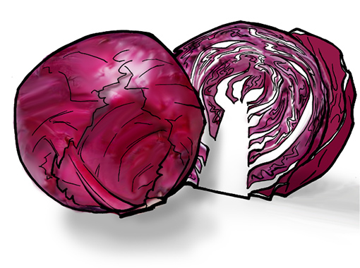 紫キャベツの汁を使って、 色が変わる不思議な実験を やってみましょう！ 紫キャベツの汁を