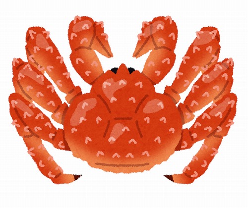 値段は？サイズは？コストコ今年も大きなカニ入荷‼️トコトコさんの週2コストコ！店内情報＆購入品記録、尼崎重度ユーザ