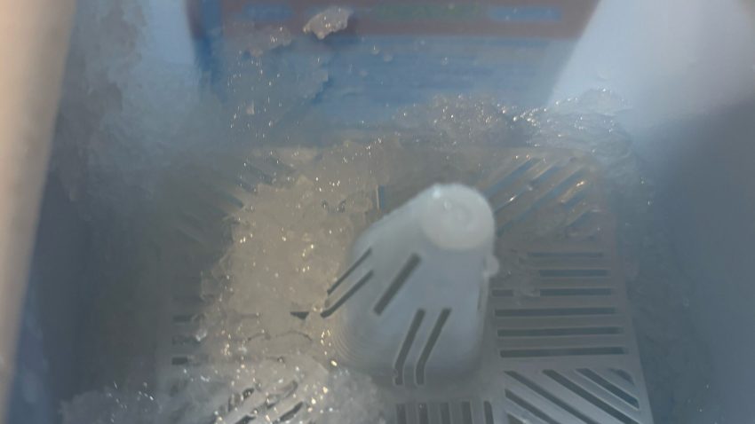 フォッサマグナミュージアムがアンタークチサイトの作り方動画を公開中！ローカルニュース新潟の街ニュース＆ローカル情報 KomachiWeb こまちウェブ