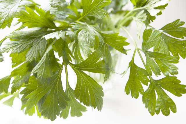 herbs 料理に使えるハーブの寄せ植え作り バジル、パセリ、シソ- YouTube