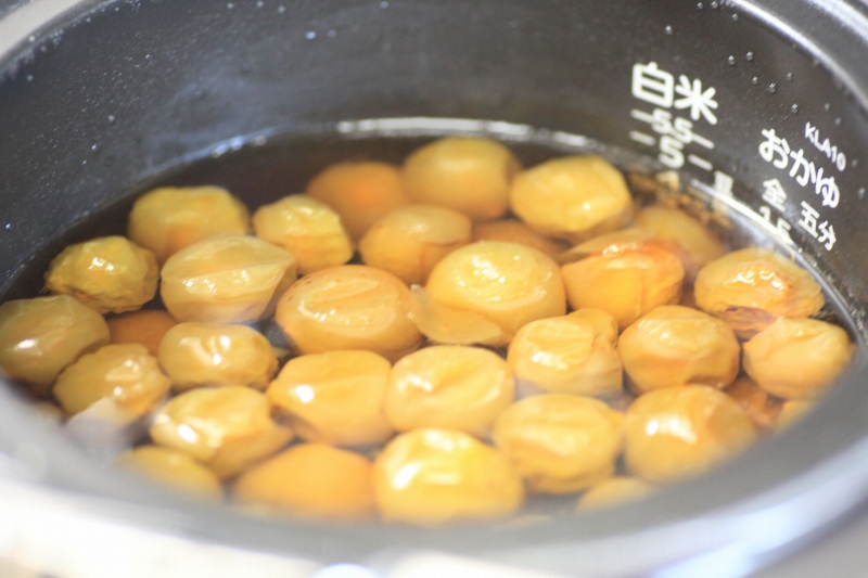 炊飯器で24時間！はちみつ入り梅シロップ