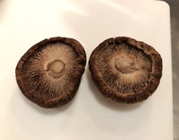 しいたけが茶色に変色 食べられる？原因と対処法は？ - Fily