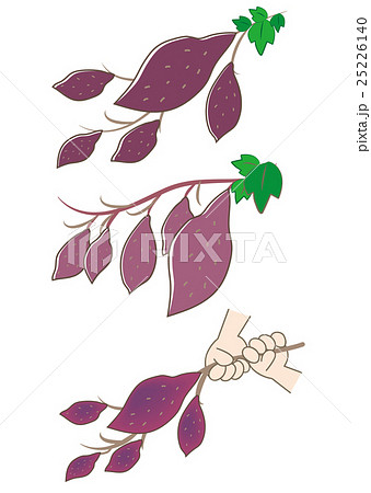 芋づる式 いもづるしき 連鎖式。 是什麼意思？-日文字典，日文中文 繁體 字典Mazii