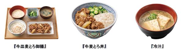 牛たん とろろ 麦めし ねぎし牛たん・麦とろ シャポー船橋JR総武線船橋駅直結のショッピングセンタ