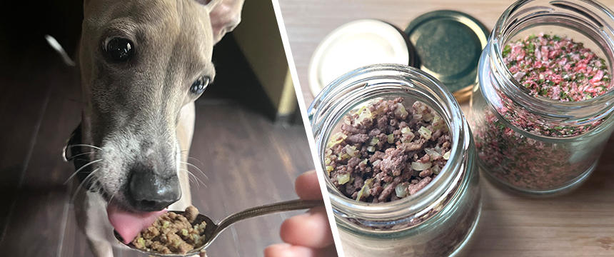 毎日のドッグフードトッピングに使える、火を使わないレシピ3選犬ごはん先生 いちかわあやこ オフィシャルブログ Powered by Ameba