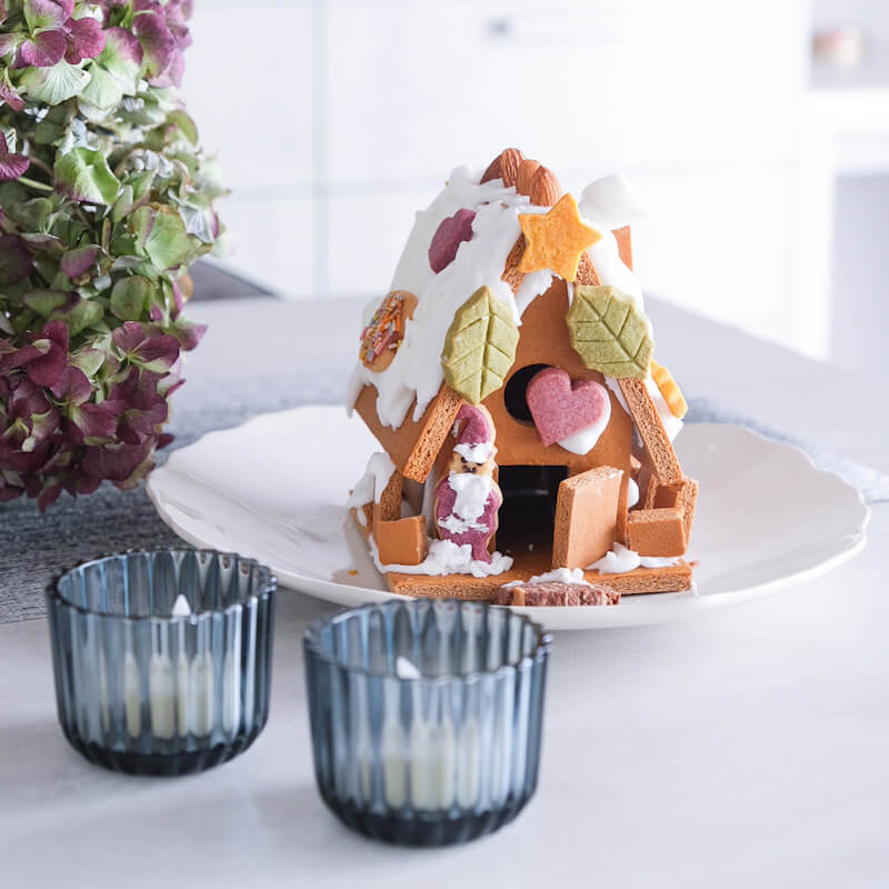 Amazon.co.jp: ロッテ コアラのマーチてづくりキット おかしハウス1箱 : 食品・飲料・お酒