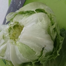 止まらない！やみつきだれ！レタしゃぶロールHow To Make Rolled Pork with Lettuce