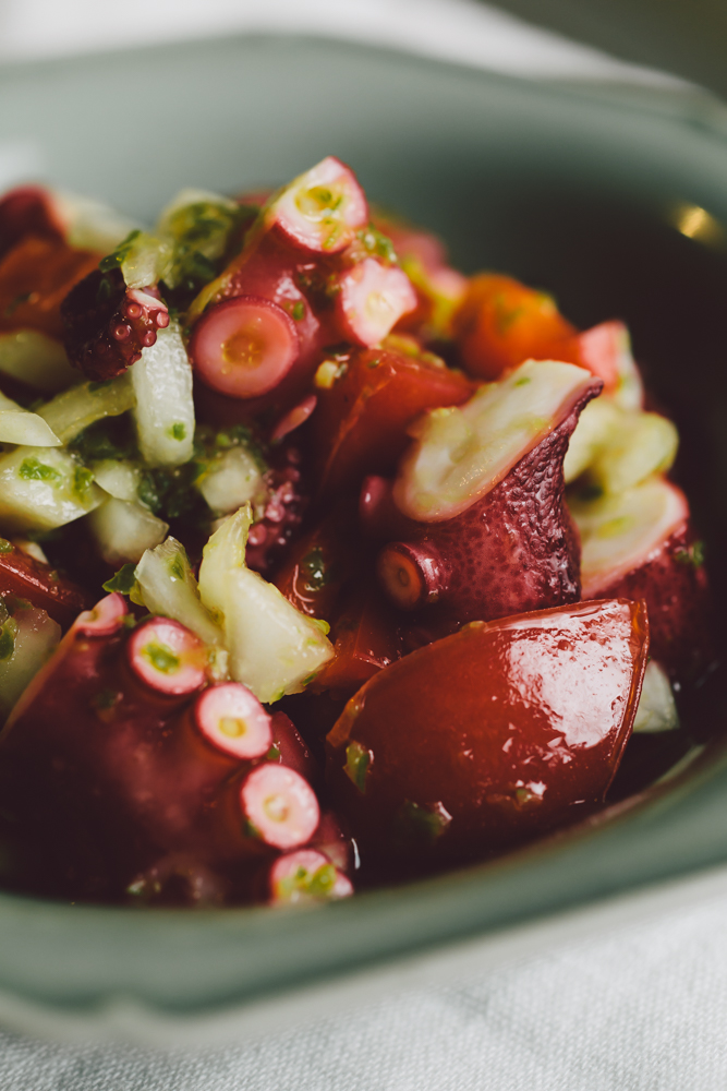 水タコとクエのセビーチェ旬食予報 お魚応援特設ページ