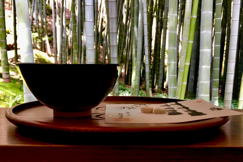 竹林の風に誘われ お抹茶のぬくもりが心を癒す 報国寺×祇園辻利- 鎌倉市観光協会時を楽しむ、旅がある。～鎌倉観光公式ガイド～