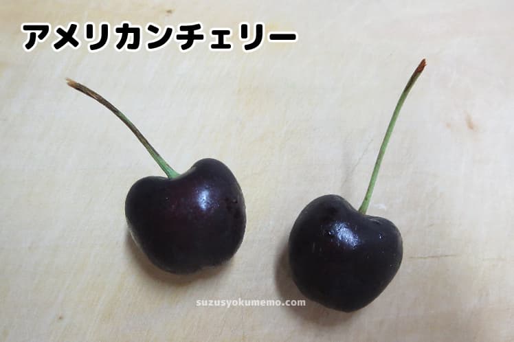 さくらんぼの苗木 アメリカンチェリー 果樹の苗木 12～15cmポット 1年生 接木苗 1個売り植物のＩＴＡＮＳＥ 全品送料無料・即出荷