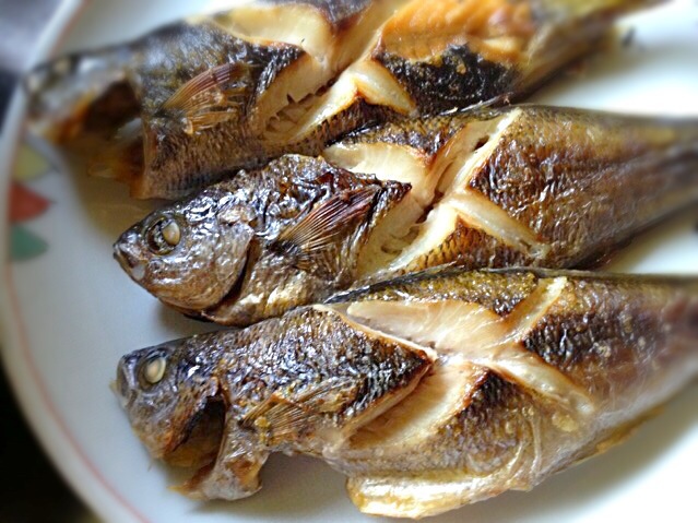 タカベの煮付け男子中学生弁当ちゃぶママのご飯日記