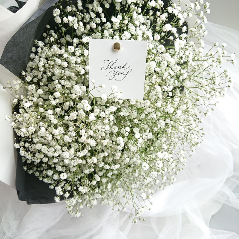 プロポーズ用グラデーションかすみ草花束 大おしゃれなかすみ草花束「オザキノウエン」 powered by BASE