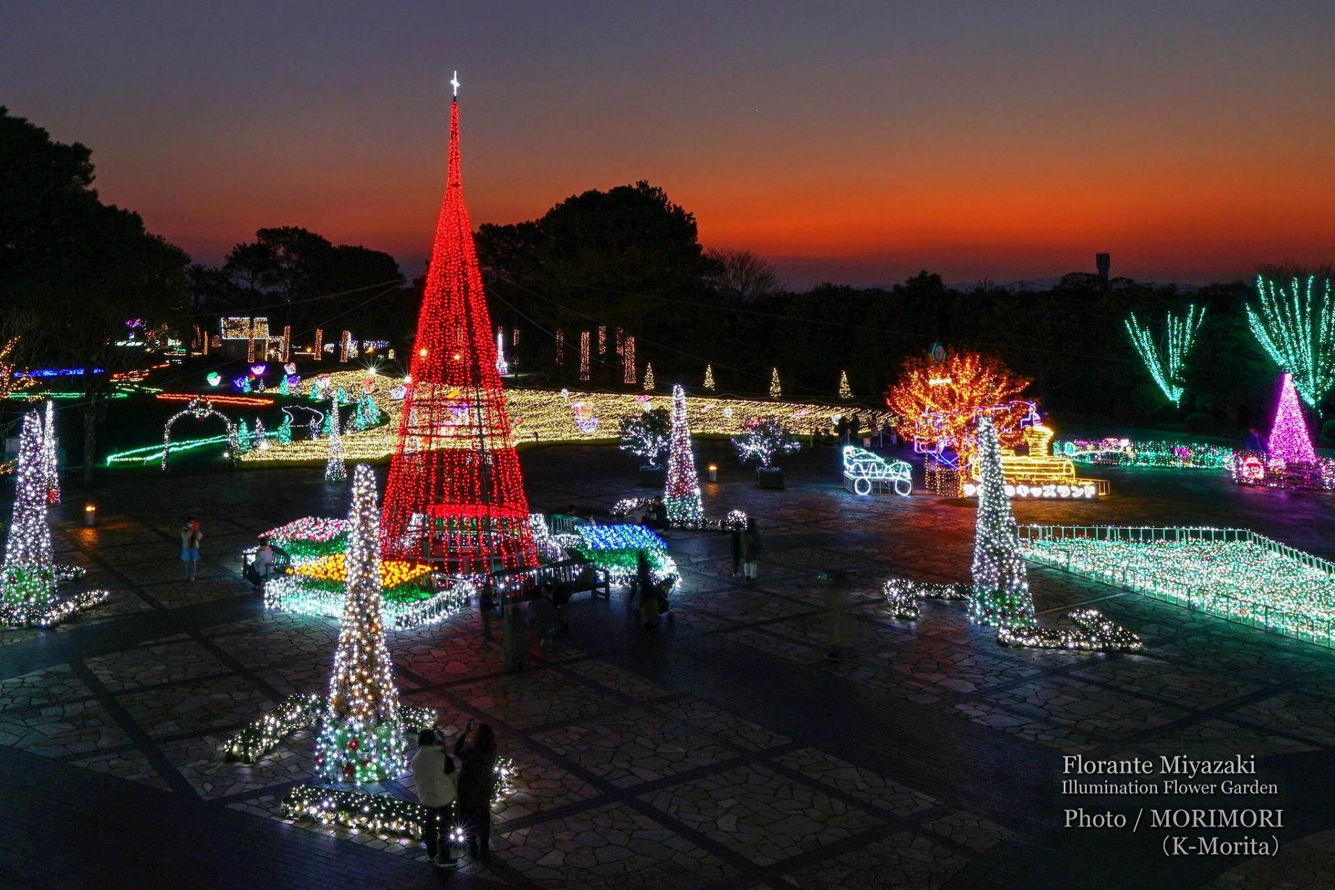 フローランテ宮崎周辺で見つかる！ネット予約で楽天ポイント貯まる！-楽天ぐるなび