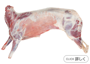 羊の丸焼き 茶路めん羊牧場クオーレ: 今日も元気です