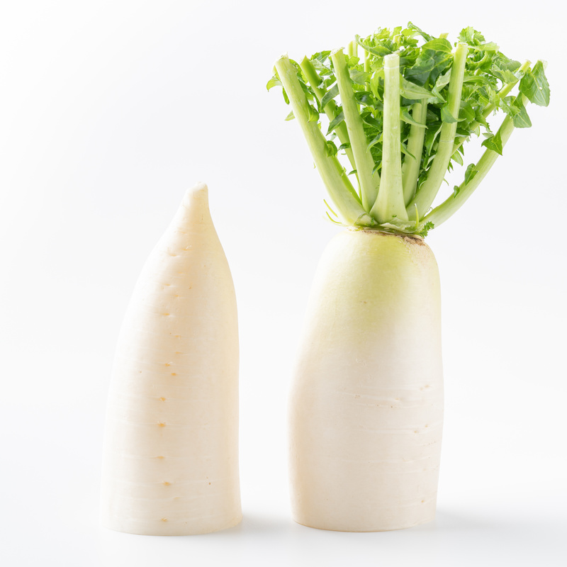 大根は4つの部位に分けられる！各部位の特徴を解説ピエトロラジオ「いただきます！」を楽しくするwebマガジン