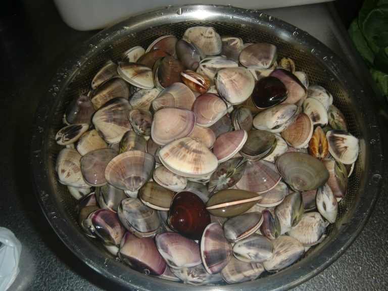 意外と知らない事が多い✨ハマグリのお吸い物✨, ., ハマグリのお吸い物は、とても簡単にできます👏, ただ、大事な工程があります。,✔️真水に10分つけ置きなど, 知らないと、塩辛いお吸い物になってしまいます🌊💦, 3月3日はひな祭り🎎,ひな祭りには、 一生一人の相手と添い遂げる という願いを込めて、ピッタリ合う対の貝殻を持つハマグリのお吸い物を食べる習慣があります。,