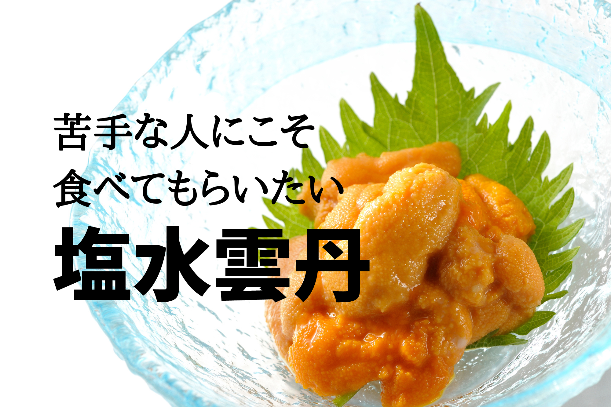 うに自然の恵み旬食材おいしい函館