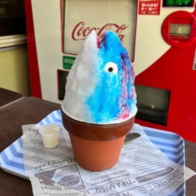 カツオの頭 鰹 カツオ 魚介 伝統 燻製 伊良部島 宮古 沖縄 郷土料理 名物 特産 の写真素材48379665- PIXTA