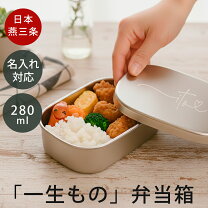 幼稚園グッズ 少食な女の子 年少 でも容量OKのかわいいお弁当箱2つ私だってていねいに暮らしたい