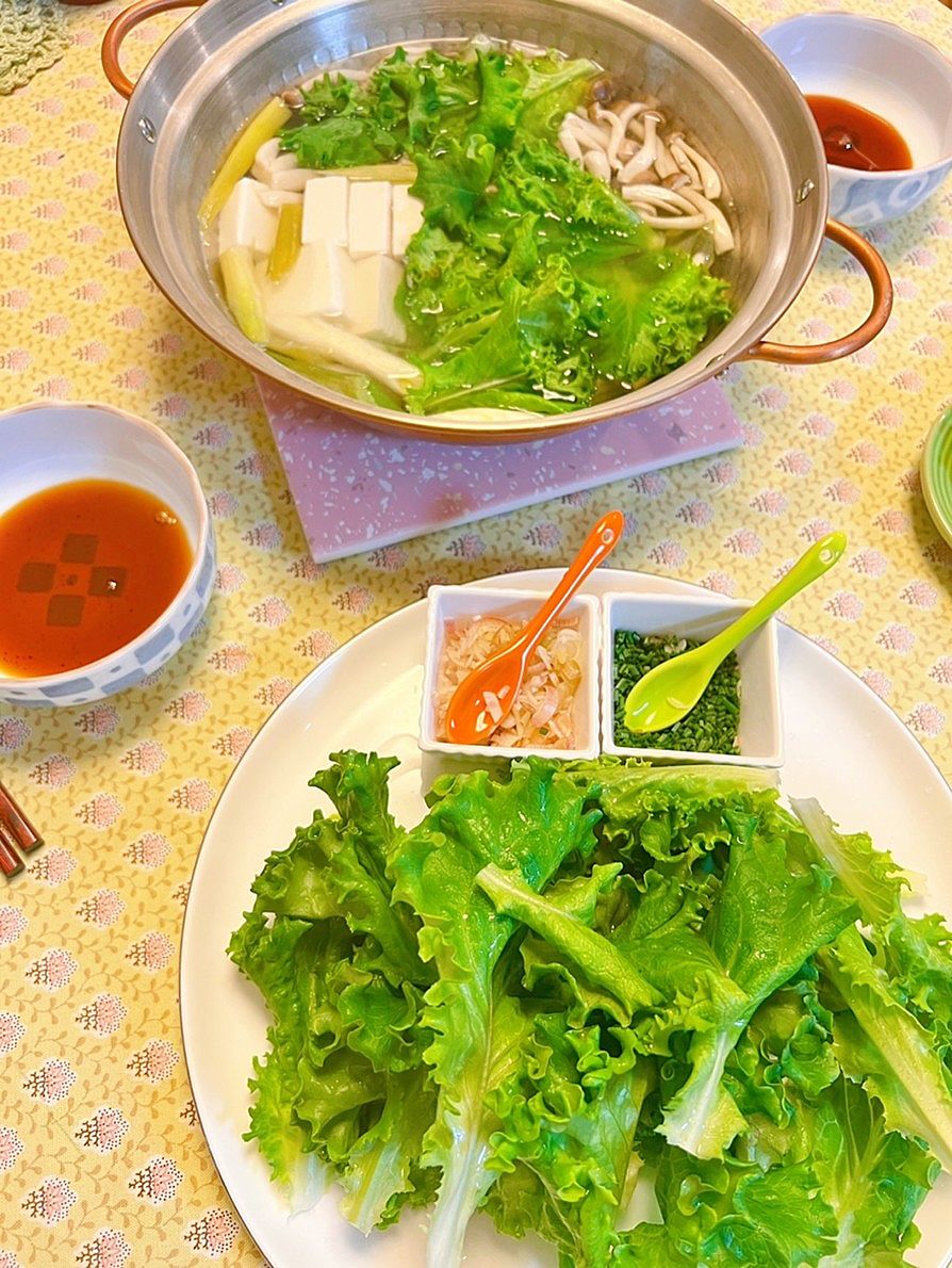 さっぱりおいしい レタスしゃぶしゃぶクラシル