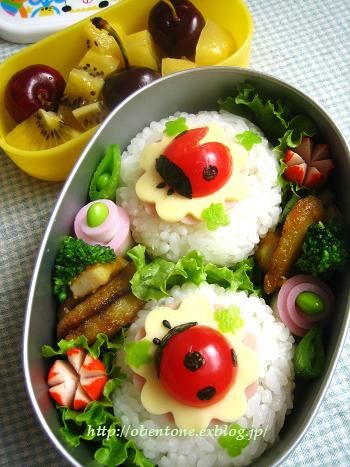 うちのお弁当＞ 遠足に大好物詰めて：北陸中日新聞Web