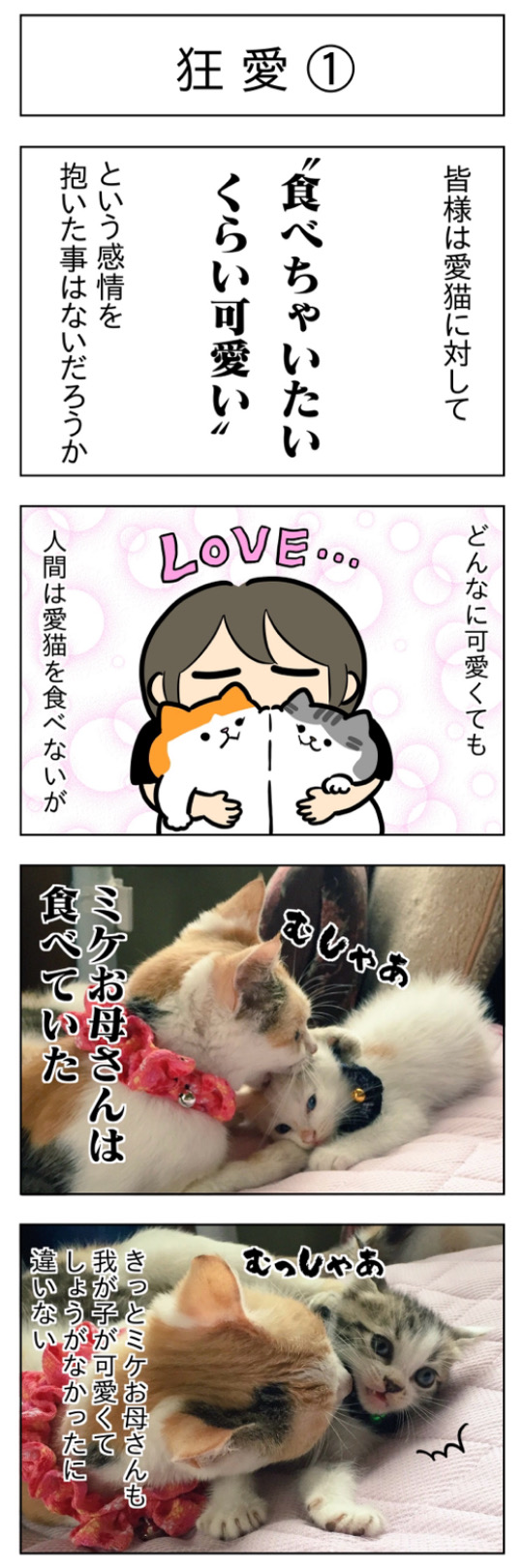 GEKO🌟9 7こみトレ46 Ａ35abon X: 