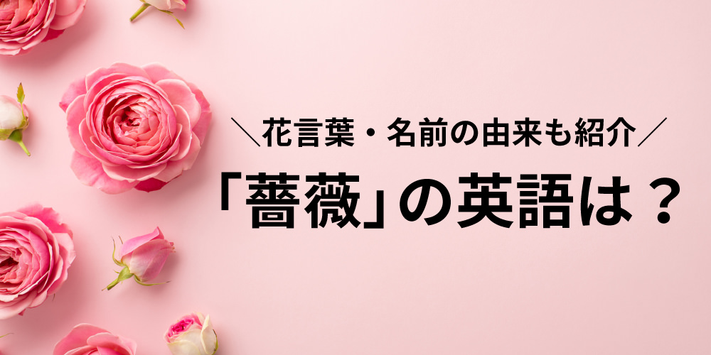 薔薇 バラ 」はフランス語でどんな単語？正しい読み方と発音