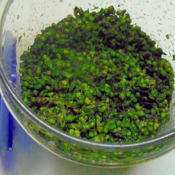 おばあちゃん直伝★紫蘇の実の塩漬けレシピ