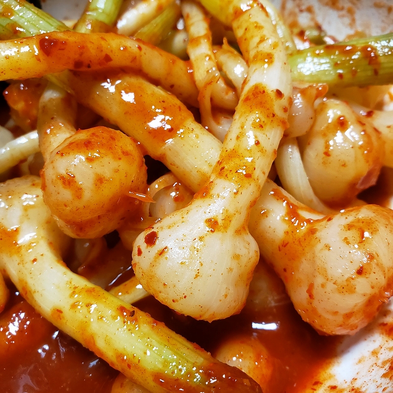 ノビルのお料理便利帳東京でとって食べる生活