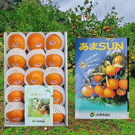 沖縄で柑橘類づくし - 沖縄B級ポータル - DEEokinawa でぃーおきなわ