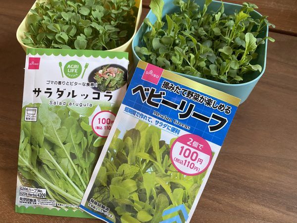 ベビーリーフプランター 40型Nリッチェル公式ウェブショップ